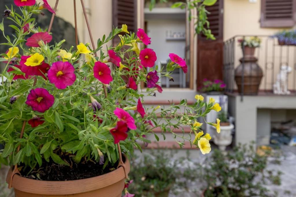 Loft Azalea Garden Wifi Air Conditioning Firenze Eksteriør billede